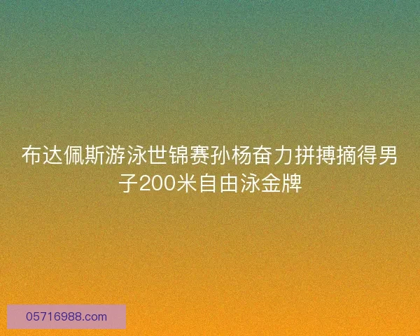 布达佩斯游泳世锦赛孙杨奋力拼搏摘得男子200米自由泳金牌